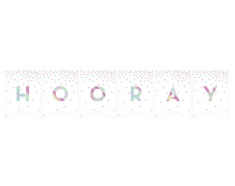 Banner iridescente personalizzato - Decorazioni per feste di addio al nubilato, decorazioni per feste iridescenti, banner personalizzati, banner per feste