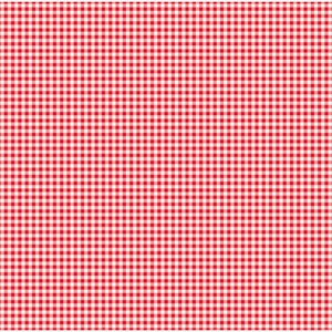 May include: Red and white gingham pattern background. This pattern is often used for picnic blankets, tablecloths, and other home decor.