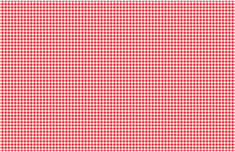 May include: Red and white gingham pattern background. This pattern is often used for picnic blankets, tablecloths, and other home decor.
