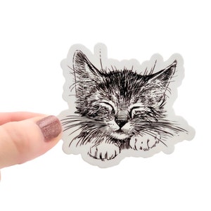 Cat Sticker - Kitten Stickers, Kitty Sticker, Planner Stickers, Water Bottle Stickers, Computer Stickers, Vinyl Decals, Pet Stickers