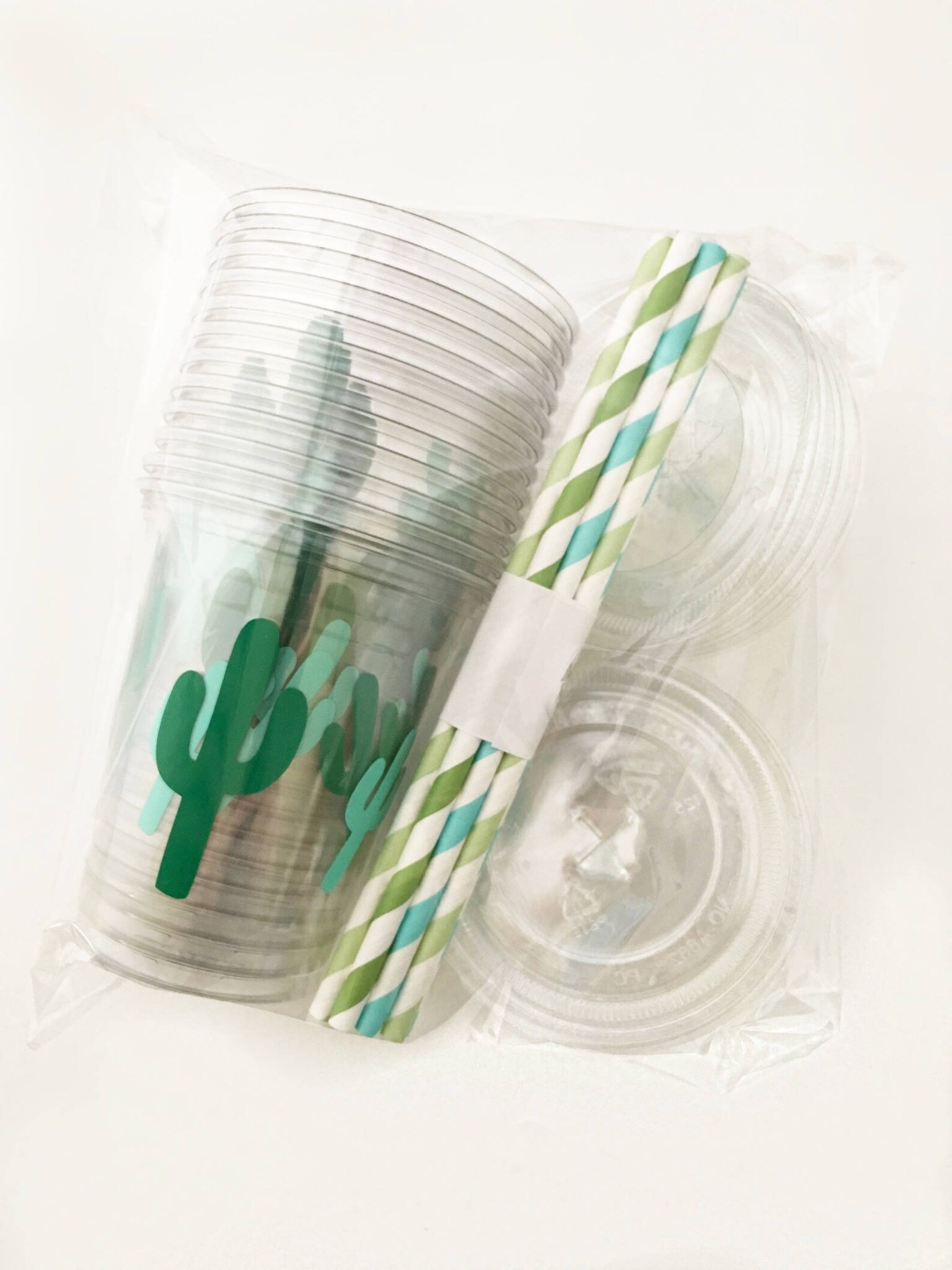 Cactus Cups Cactus Party Cactus Baby Shower Fiesta Party Etsy