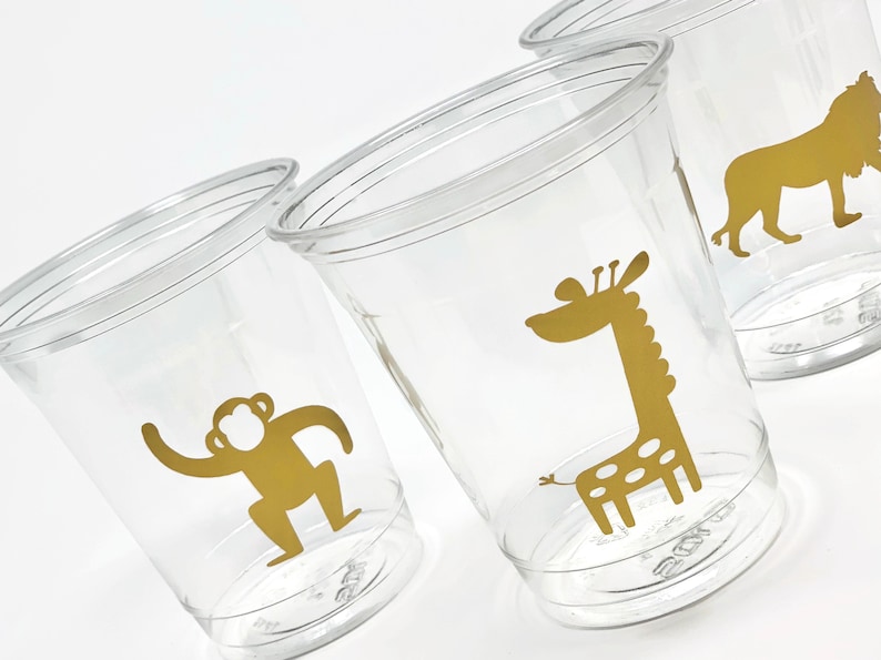 safari glass cup