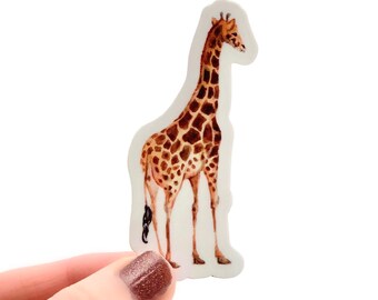 May include: A watercolor illustration of a giraffe standing on a white background. The giraffe is brown and has a long neck and legs. The giraffe is looking to the right.
