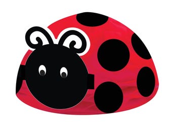 Vijfstippelig lieveheersbeestje - Coccinella quinquepunctata