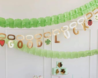 Good Luck Charm Banner - St Patrick's Day Party, Lucky Birthday Decorations, Pot of Gold Party Supplies, Shamrock Party, Lucky One Birthday