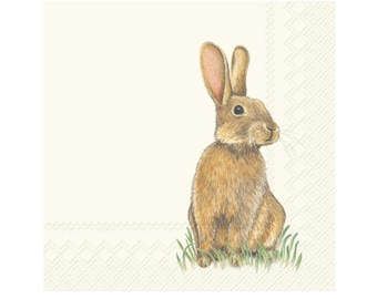 Brown Bunny Paper Beverage Napkins 20ct - Bunny Birthday Decorations, Spring Party, Baby Shower, Some Bunny is One Birthday, Easter Napkins