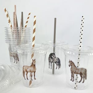 Bicchieri per feste a tema cavallo - Decorazioni per compleanni a tema pony, articoli per feste western da cowgirl, feste equestri, addii al nubilato western, bicchieri per compleanni da cowboy