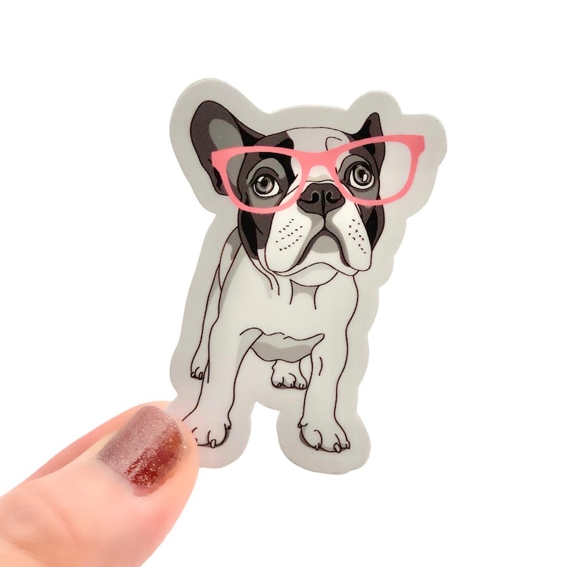 May include: A white and black French bulldog wearing pink glasses. The dog is standing on all four paws and looking directly at the viewer.