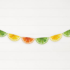 Citrus Party Garland - Fruit Birthday Banner, Tutti Fruitti Party, Fruit Party Supplies, Fruit Party Decorations, Citrus Party Decor