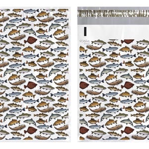 May include: A white background with a repeating pattern of colorful fish. The fish are all different sizes and shapes, and they are arranged in a random pattern. The fish are all facing different directions.