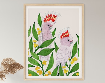 May include: A watercolor painting of two pink cockatoos with red crests perched on branches of a flowering wattle tree. The birds are surrounded by green leaves and yellow flowers.