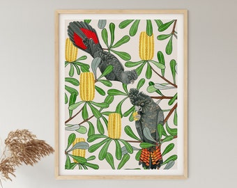 Art Print, Australian, Native, Birds, Banksia, Botanical, Watercolor Bird Print, Black Cockatoo, BANKSIA BANQUET