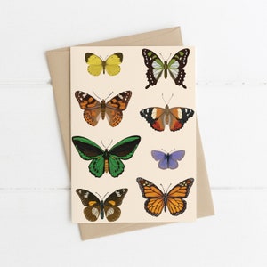 Biglietto d'auguri, Botanico, Illustrato, Australiano, Farfalla, FLUTTER NATIVO