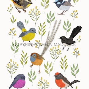 Art Print, Australian, Botanical, Native, Floral, Bird Print, LITTLE BIRDIES image 3