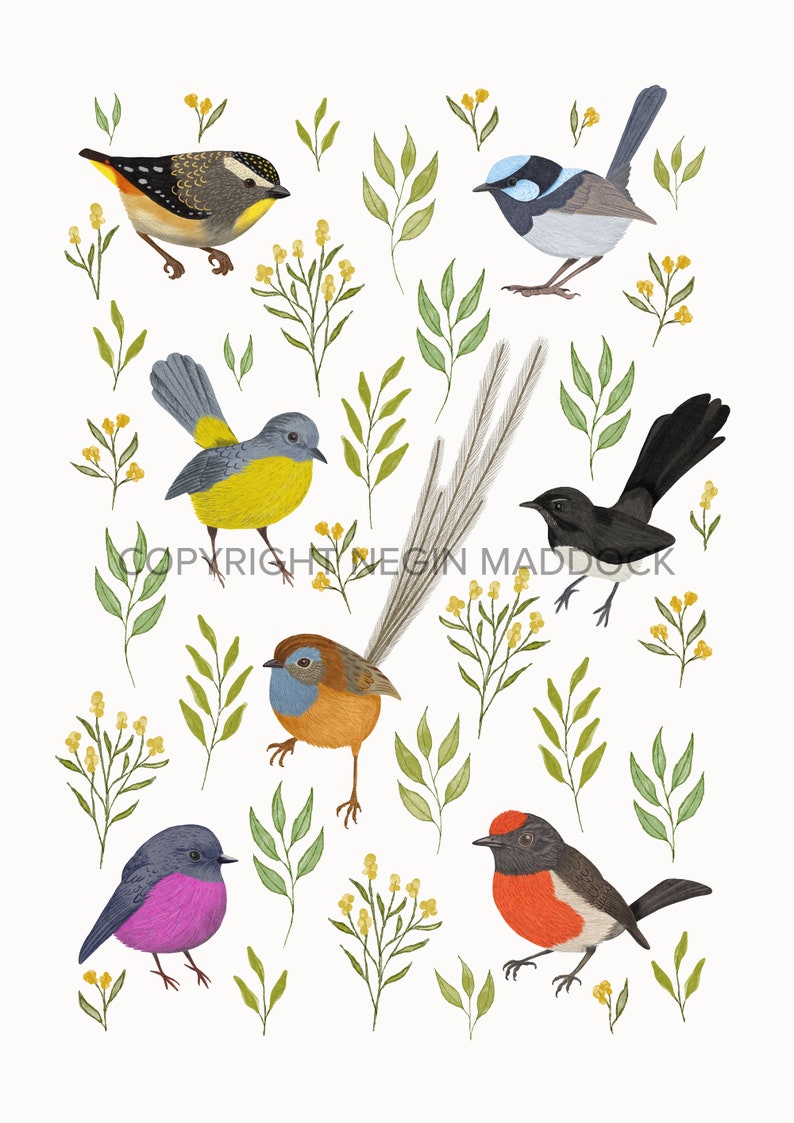 Art Print, Australian, Botanical, Native, Floral, Bird Print, LITTLE BIRDIES image 3