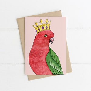 Carte de vœux, Botanique, Illustré, Australien, Floral, Oiseau, ROI PERROQUET