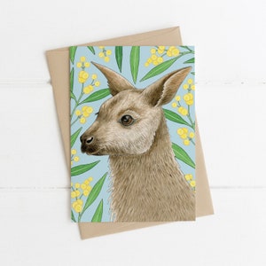 Biglietto d'auguri, Botanico, Illustrato, Australiano, Floreale, Uccello, WALLABY JUNIOR