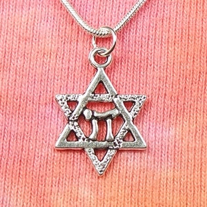 Chai in Star of David Necklace or Earrings, Jewish Judaica Symbol Shabbat Judaica Judaism Silver Stainless Jewelry