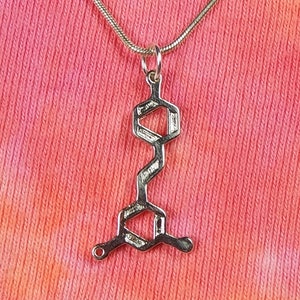Resveratrol Molecule Necklace or Earrings, Red Wine Symbol Charm Pendant Jewelry Grapes Antioxidant