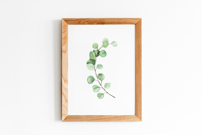 Eucalyptus Poster Eucalyptus Print Eucalyptus Wall Art Etsy