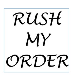 Express priority shipping, upgrate delivery, fast rush shipping