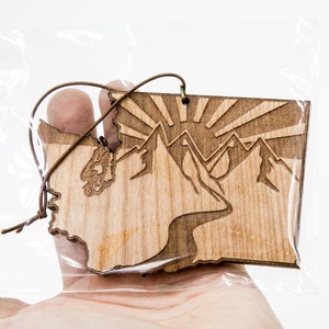 Air Freshener, Washington Pride