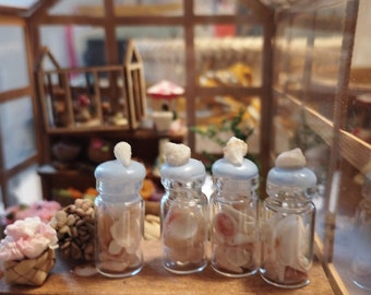 Miniature Seashells jars - scale 1:12