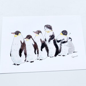 Cartão postal de pinguins em grupo grande - PG256s