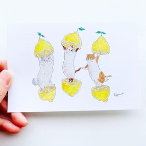 Cartolina con gattino limone - PG259s