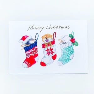 Puede incluir: Una tarjeta de Navidad con tres perros en calcetines navideños. Los calcetines son rojos, blancos y turquesas, con diseños festivos. La tarjeta dice "Merry Christmas" en una fuente manuscrita.