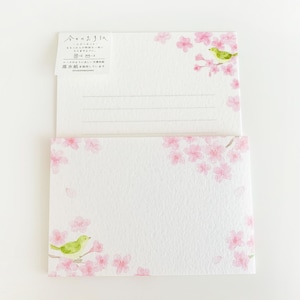 Peut inclure: Deux cartes postales blanches avec des illustrations à l'aquarelle de fleurs de cerisier roses et d'oiseaux verts. Une carte postale est empilée sur l'autre. La carte postale supérieure comporte une petite étiquette avec du texte japonais.