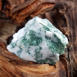 Peut inclure: Un cristal brut d'agate mousse de couleur blanche et verte. Le cristal a une forme naturelle irrégulière et est de couleur vert clair avec des veines blanches.