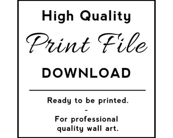 Rumi Citation Amour Poeme Imprimable Amour Oeuvre Quand Etsy France