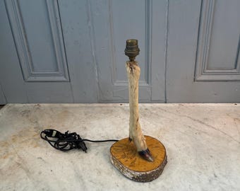 Vintage französischer präparierter Hirsch Bein Lampenständer