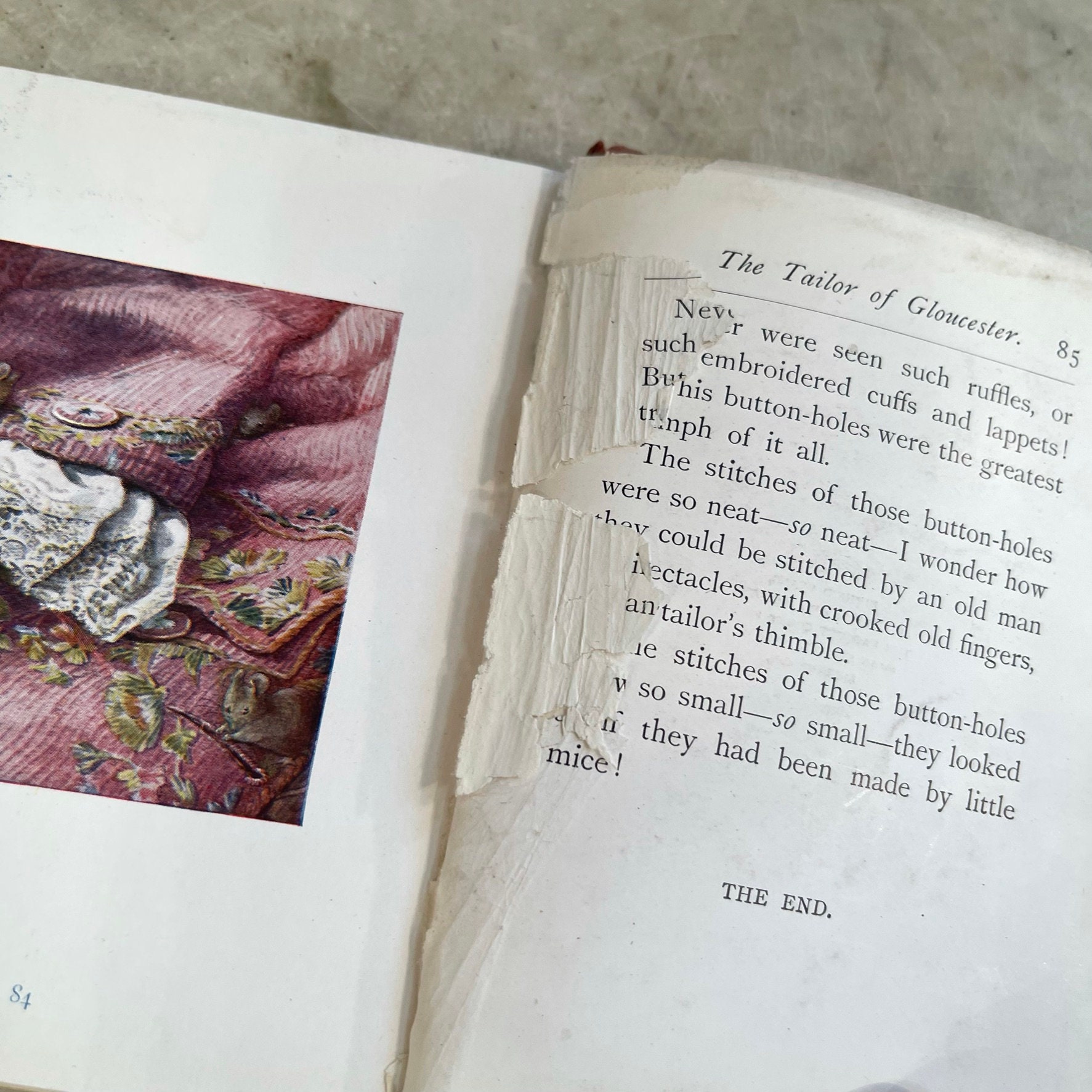 the tailor of gloucester first edition the tailor of gloucester first edition