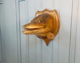 Large antique vintage mounted pikes fish head