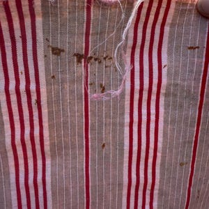 May include: Close-up of a striped fabric with red and white vertical stripes on a tan background. The fabric has a frayed edge and some brown stains. The fabric appears to be vintage or distressed.
