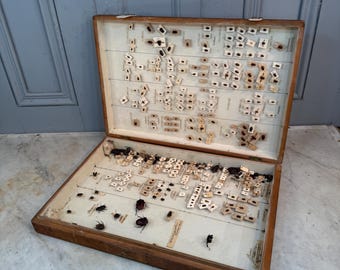 Antique entomologists collectors display case box with original contents (no 3)