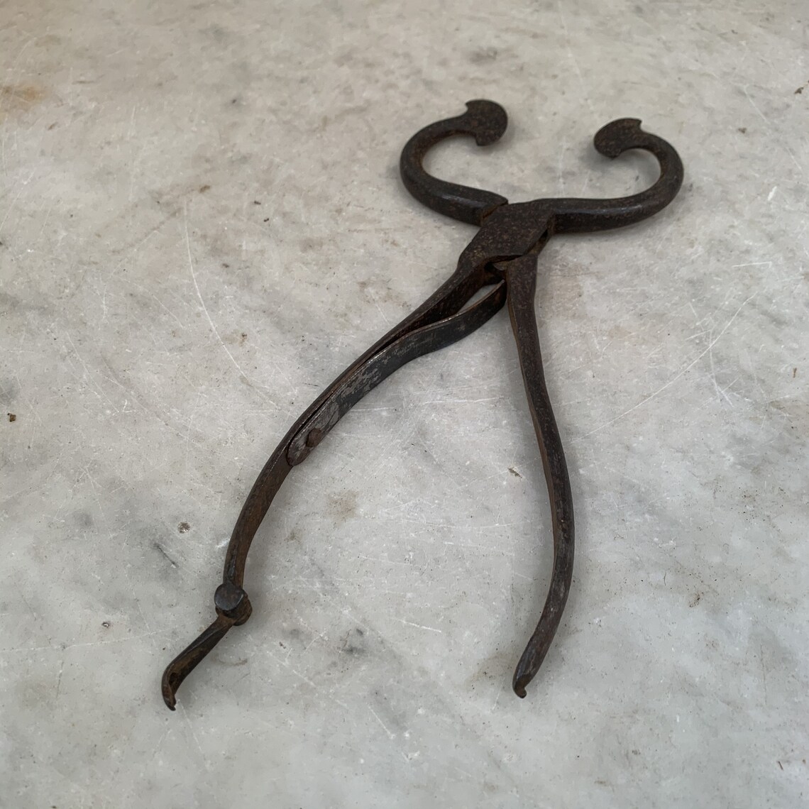 Antique Victorian iron tongs sugar cutters or sugar loaf Etsy