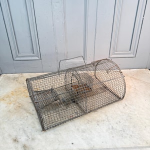May include: A vintage metal wire cage mouse trap with a rectangular body and a curved end. The trap has a handle on top for carrying and a small door to trap the mouse. The cage is made of a rusty, aged metal.