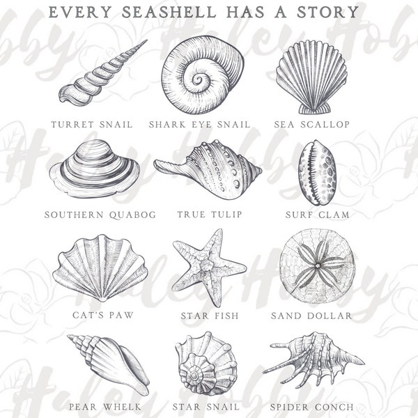 Every Shell has a story beach seashell always be yourshellf boy girl summer 2 sided Shirt PNG, Heat Press, Digital Download, Sublimation