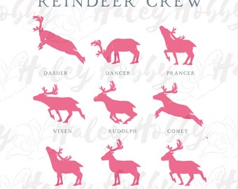 Reindeer Crew Names Santa Christmas Holiday Toddler Girl Pink 2 sided Shirt PNG, Heat Press, Digital Download, Sublimation Download