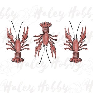 Crawfish Lobster Kids Monogram Watercolor Shirt PNG, Heat Press, Digital Download, Sublimation Download, Instant Download Waterslide image 2