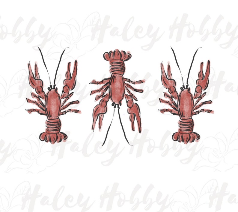 Crawfish Lobster Kids Monogram Watercolor Shirt PNG, Heat Press, Digital Download, Sublimation Download, Instant Download Waterslide image 2