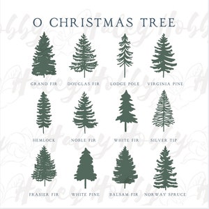 May include: A chart showing the silhouettes of 12 different types of Christmas trees, with the name of each tree listed below its silhouette. The trees are: Grand Fir, Douglas Fir, Lodge Pole, Virginia Pine, Hemlock, Noble Fir, White Fir, Silver Tip, Fraser Fir, White Pine, Balsam Fir, and Norway Spruce.