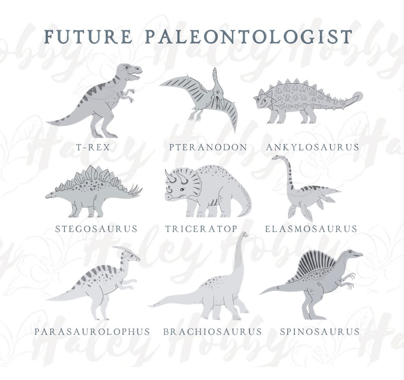 May include: A chart featuring illustrations of various dinosaurs, including a T-Rex, Pteranodon, Ankylosaurus, Stegosaurus, Triceratops, Elasmosaurus, Parasaurolophus, Brachiosaurus, and Spinosaurus. The text "FUTURE PALEONTOLOGIST" is at the top of the chart.