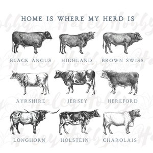 May include: A black and white illustration of nine different breeds of cattle, including Black Angus, Highland, Brown Swiss, Ayrshire, Jersey, Hereford, Longhorn, Holstein, and Charolais. The text "HOME IS WHERE MY HERD IS" is at the top of the image.