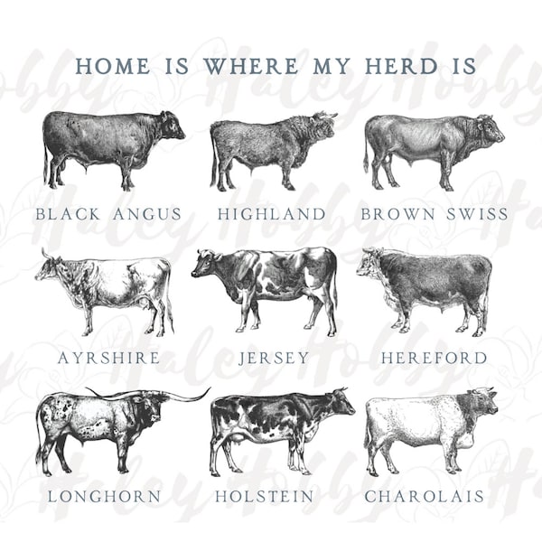 Home is Where My Herd Is Cow Cattle Farm Sketch Boy Girl Shirt 2 Set PNG, Heat Press, Digital Download, Sublimation Download, Instant