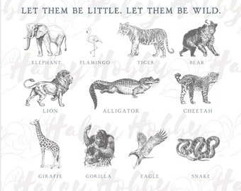 Be Wild Zoo Animal Boy Girl Shirt 2 Sided Set PNG, Heat Press, Digital Download, Sublimation Download, Instant Download