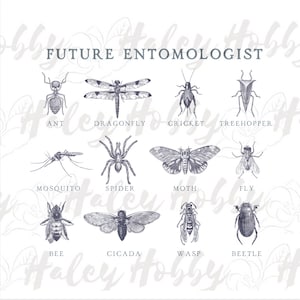 Future Entomologist Bug names toddler boy girl sketch Shirt 2 Sided Set PNG, Heat Press, Digital Download, Sublimation Download